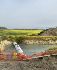 IMG_3467